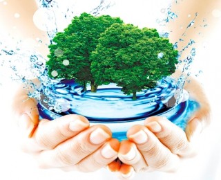 Экология и охрана окружающей среды